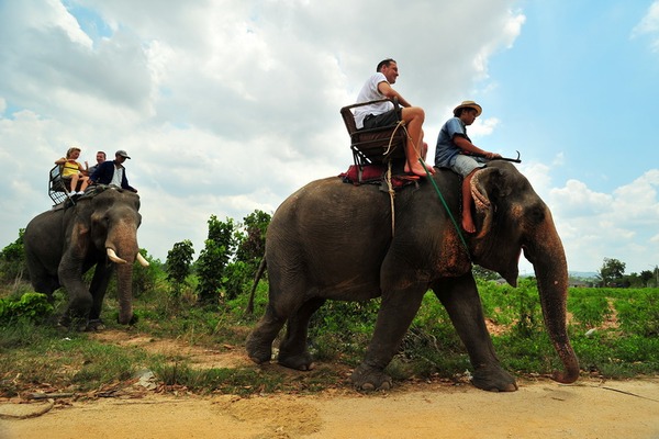Pattaya Elephant village, Travel to Chon Buri